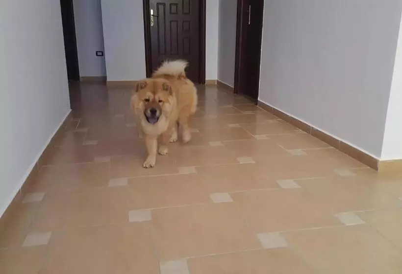 Majatalo Nuovo Sun Golem