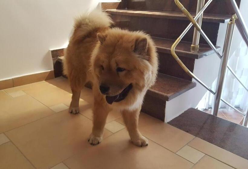 پانسیون Nuovo Sun Golem