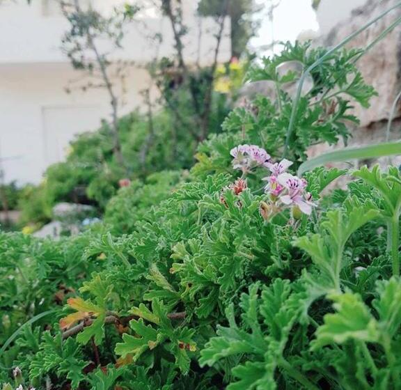 پانسیون Penelope S Rooms