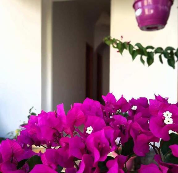 پانسیون Penelope S Rooms