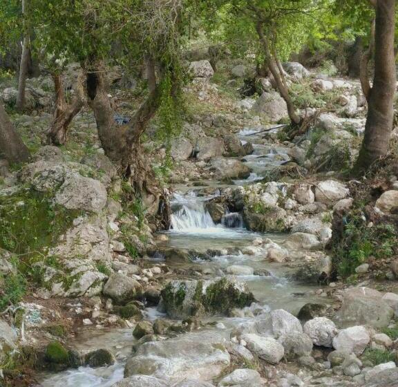 پانسیون Penelope S Rooms