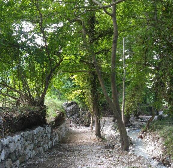 پانسیون Penelope S Rooms