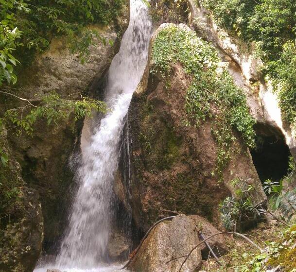 پانسیون Penelope S Rooms