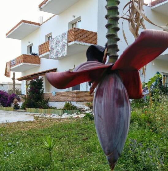 پانسیون Penelope S Rooms