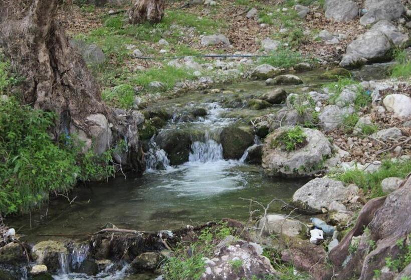 پانسیون Penelope S Rooms