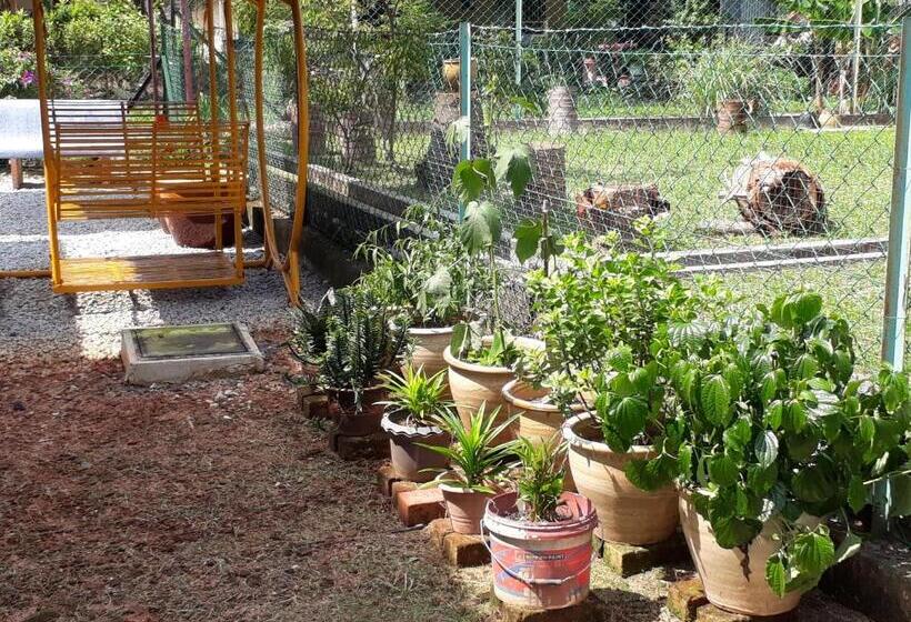 Pension Teratak Opah Kamunting