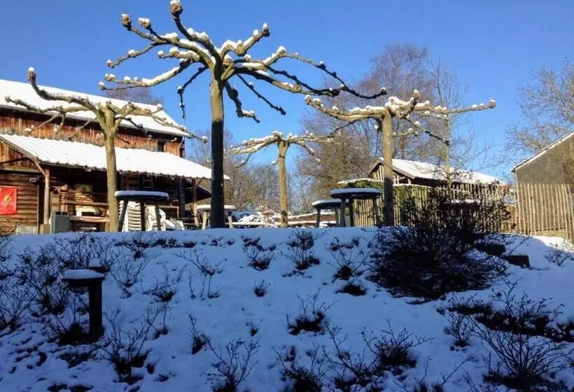 B&b La Belle Histoire Laforêt