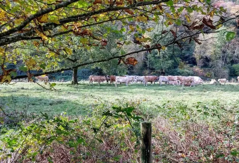 B&b La Belle Histoire Laforêt