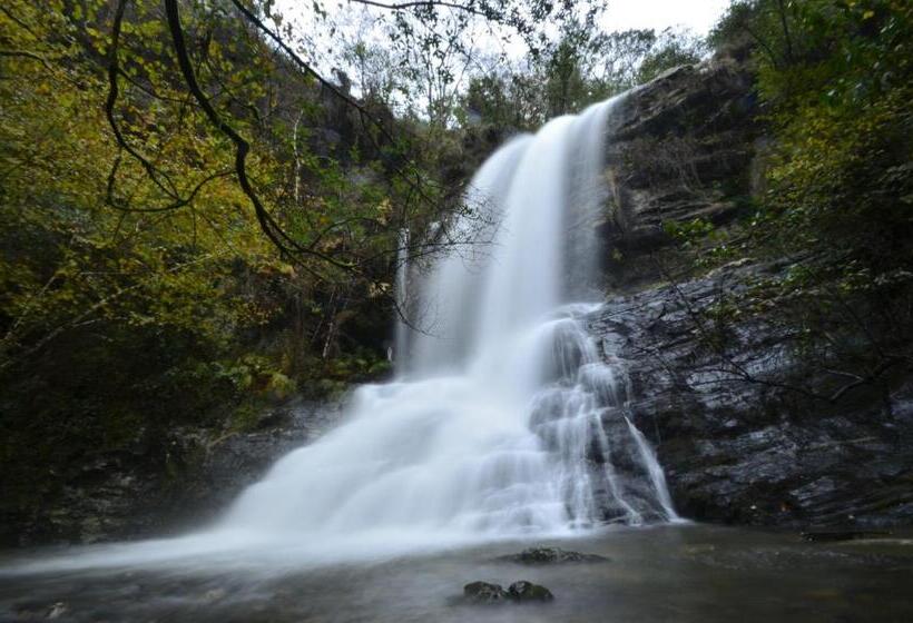 호텔 Amadora Admite Mascotas