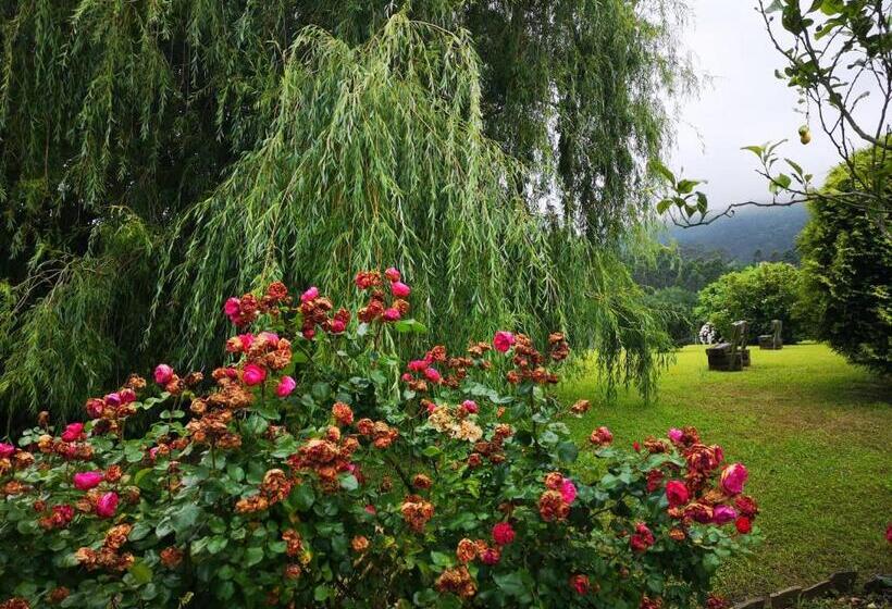 호텔 Amadora Admite Mascotas