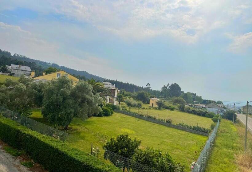 호텔 Amadora Admite Mascotas