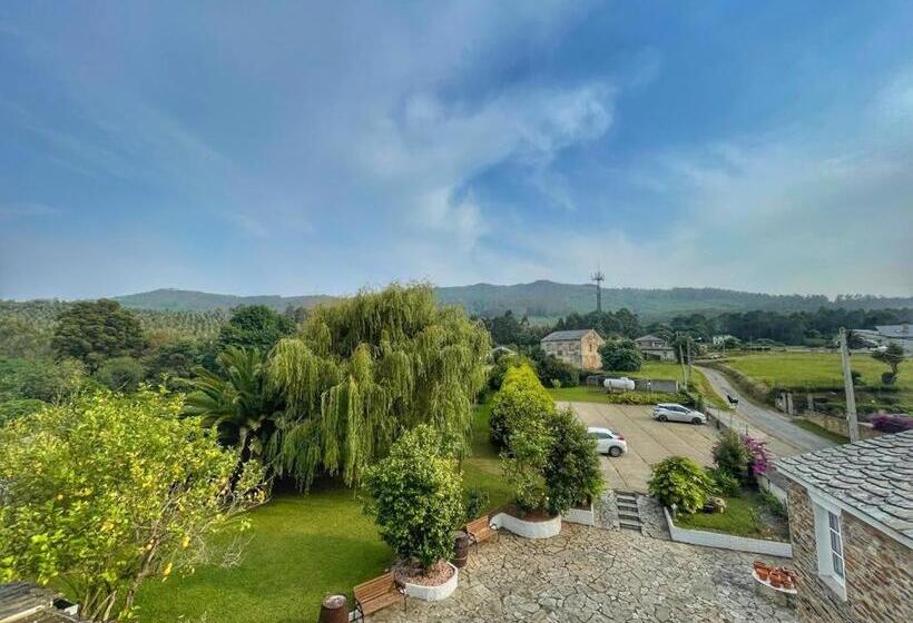 호텔 Amadora Admite Mascotas