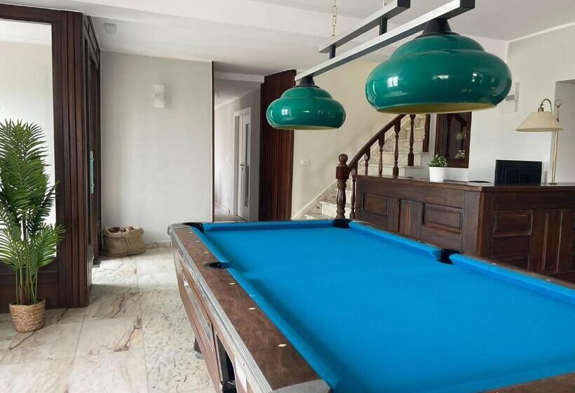 호텔 Amadora Admite Mascotas