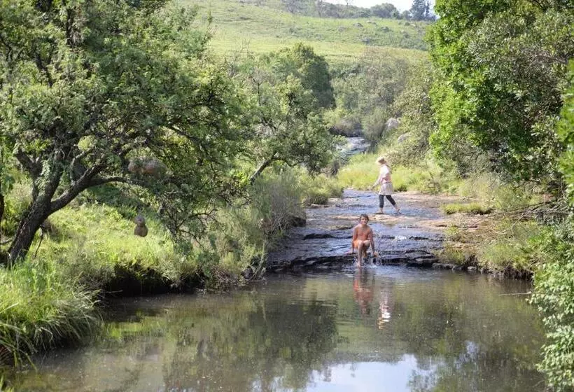 ホテル Luiperdkloof Trout Lodge