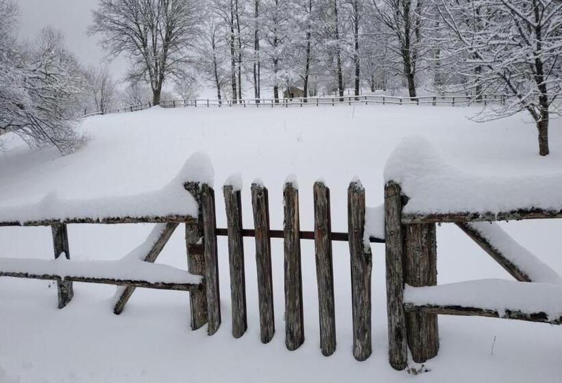 بنسيون Torre Camigliati Dimora Storica