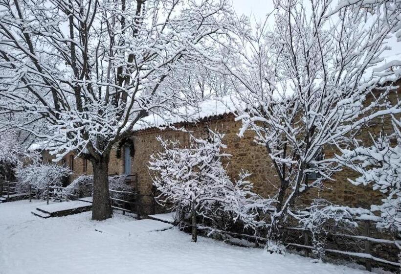 بنسيون Torre Camigliati Dimora Storica