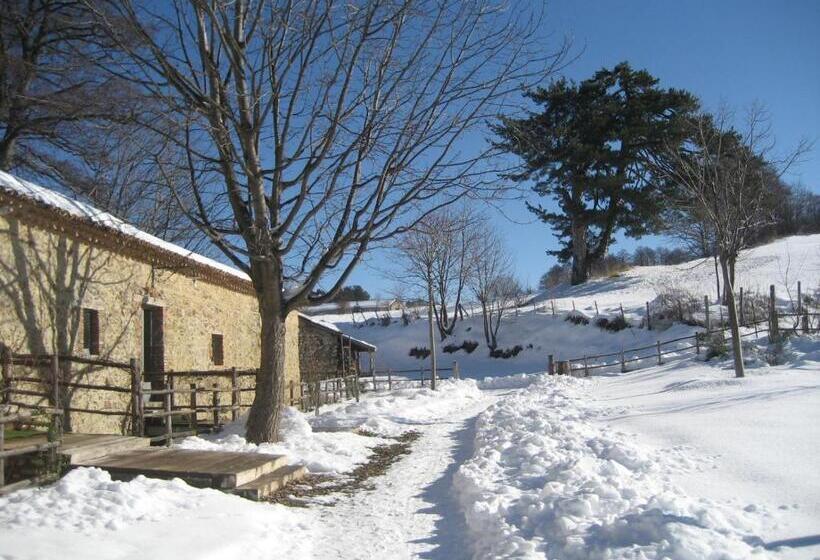 بنسيون Torre Camigliati Dimora Storica