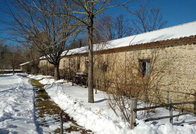 بنسيون Torre Camigliati Dimora Storica