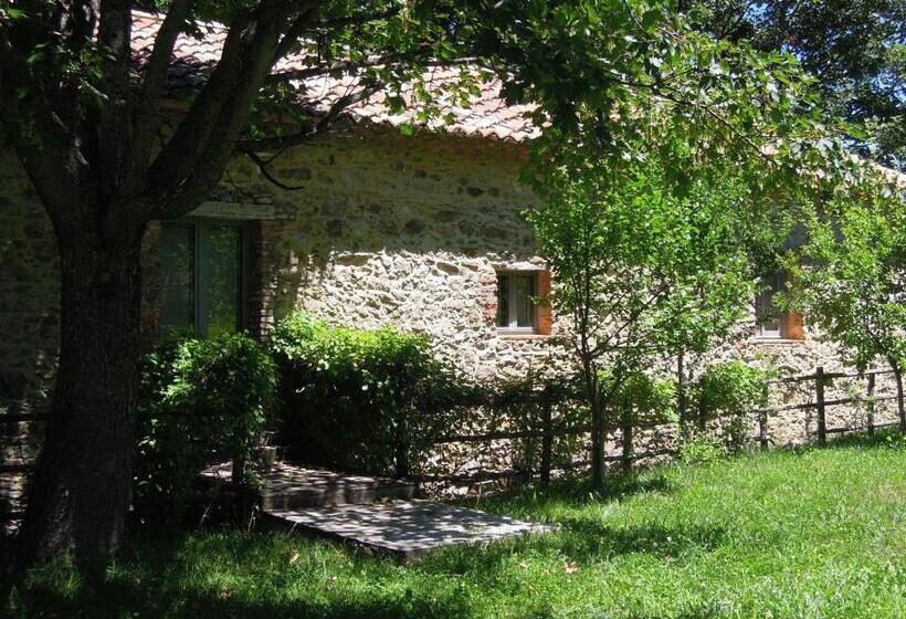 بنسيون Torre Camigliati Dimora Storica