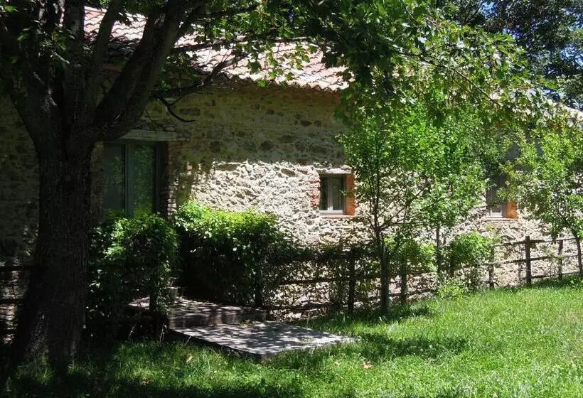ペンション Torre Camigliati Dimora Storica