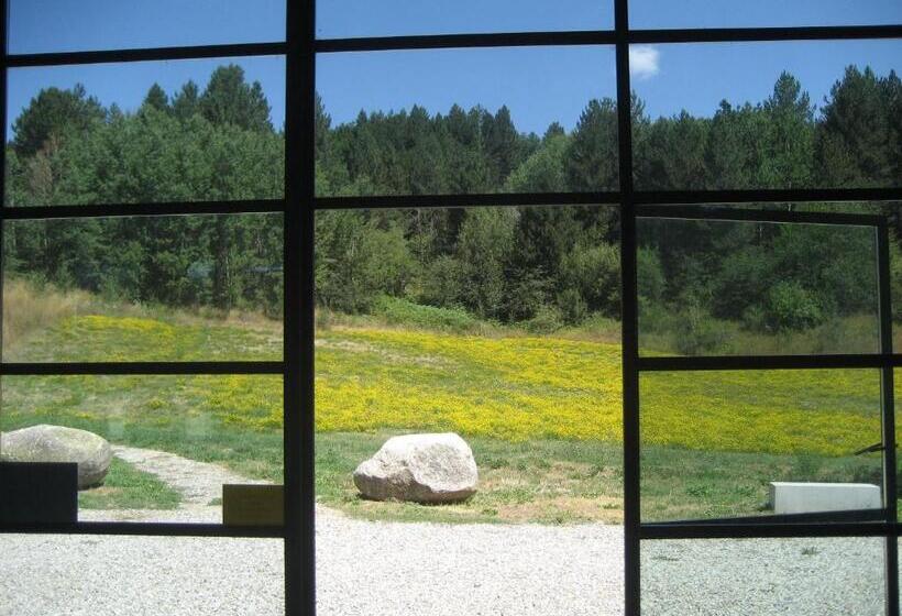 بنسيون Torre Camigliati Dimora Storica