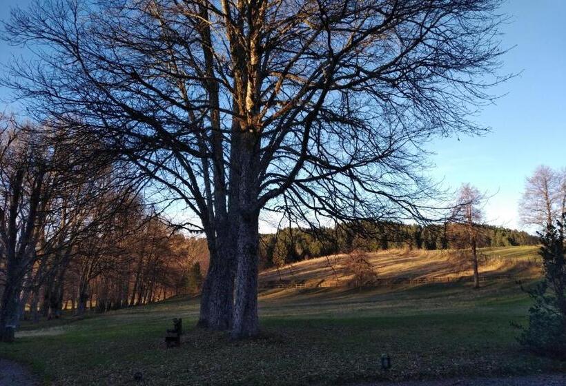 بنسيون Torre Camigliati Dimora Storica
