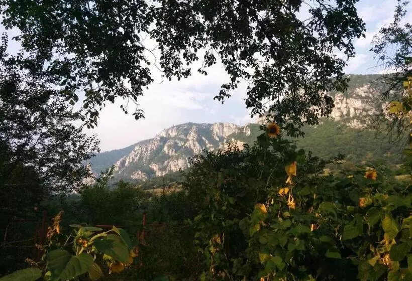 Pension Casa Anadam