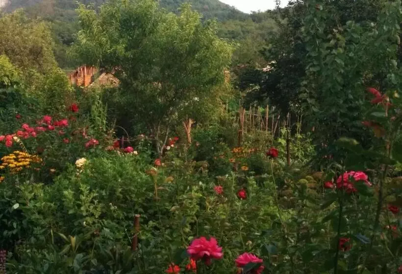 Pension Casa Anadam