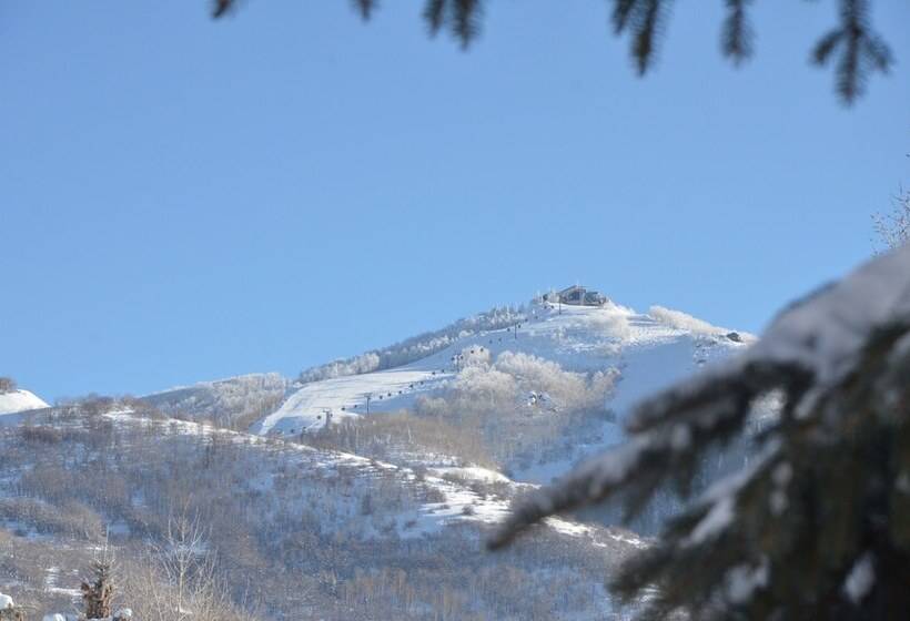 Cascades At Steamboat
