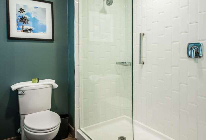 Cambria Hotel Mcallen Convention Center