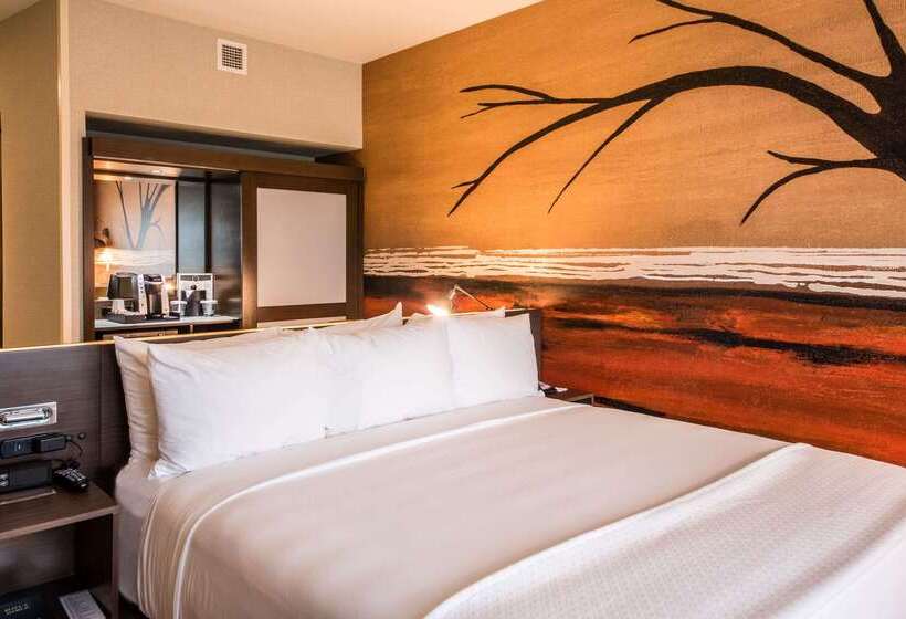 Cambria Hotel Mcallen Convention Center