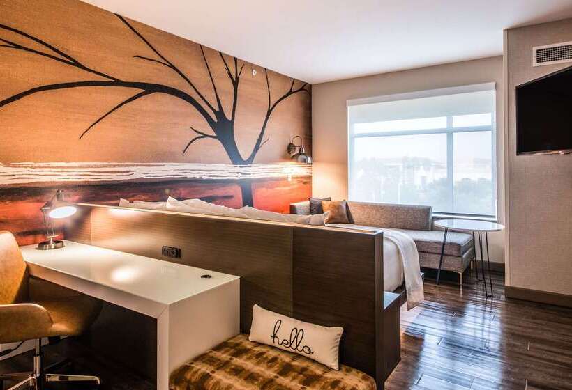 Cambria Hotel Mcallen Convention Center