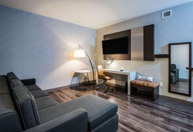 Cambria Hotel Mcallen Convention Center