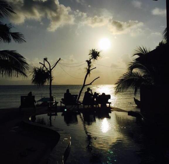 فندق Mr.black Resort