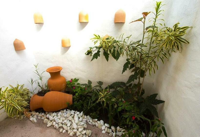 酒店 Rio Da Barra Villa