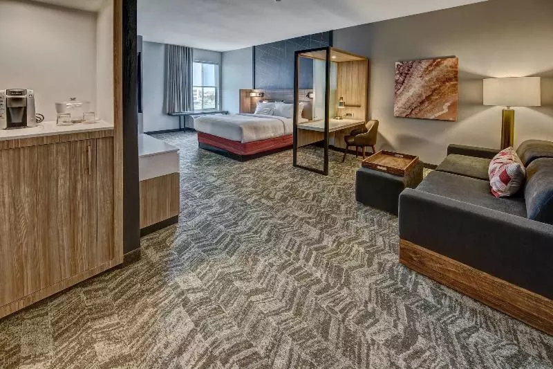 Hotelli Springhill Suites By Marriott Amarillo
