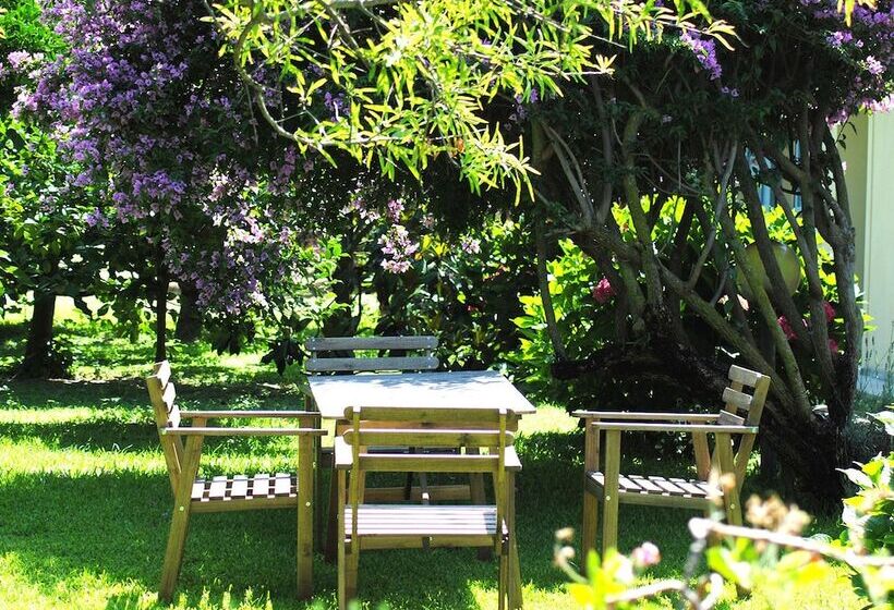 فندق Villa Hermes