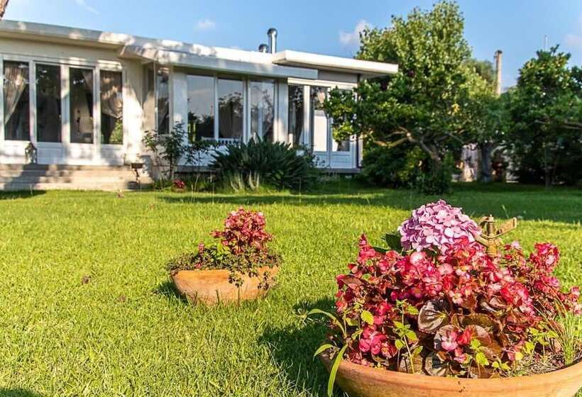 فندق Villa Hermes