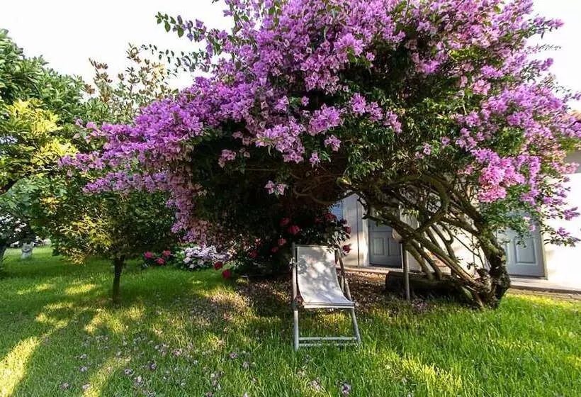 Hotelli Villa Hermes