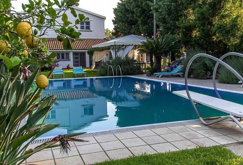 فندق Villa Hermes