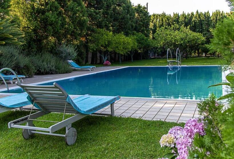 فندق Villa Hermes