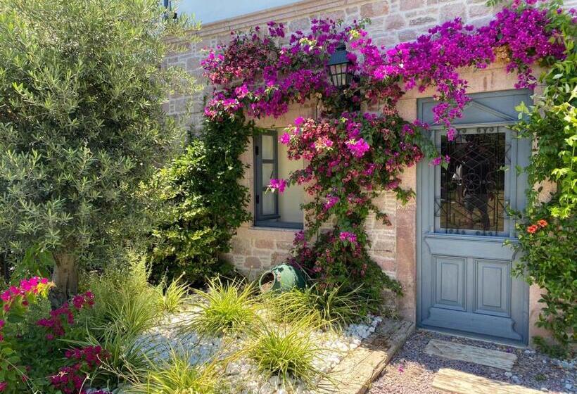 בית מלון כפרי Ziyabey Konagi