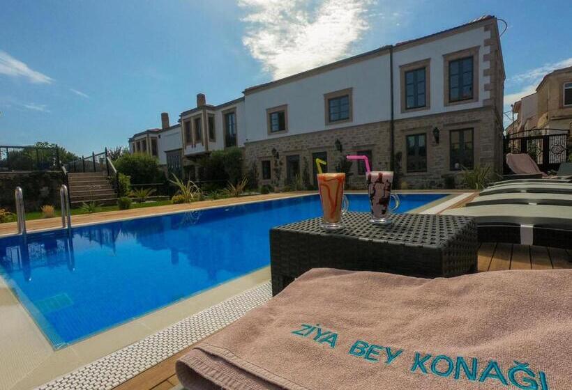 בית מלון כפרי Ziyabey Konagi