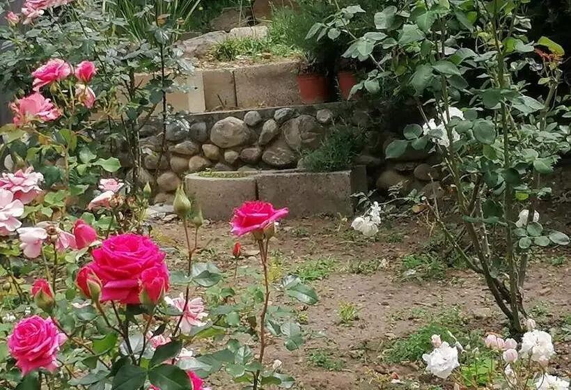 تختخواب و صبحانه Aanhuizen