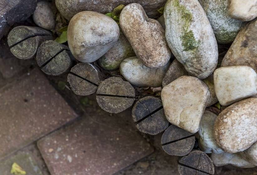 Aamiaismajoitus (B&B) Kingfisher Guesthouse