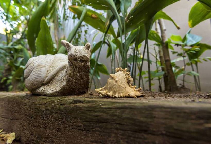 Aamiaismajoitus (B&B) Kingfisher Guesthouse