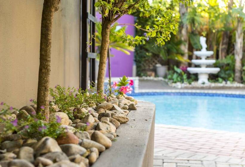 Aamiaismajoitus (B&B) Kingfisher Guesthouse