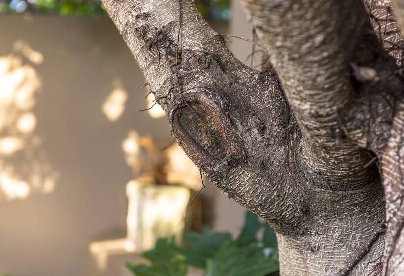 Aamiaismajoitus (B&B) Kingfisher Guesthouse