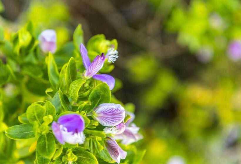 Aamiaismajoitus (B&B) Kingfisher Guesthouse