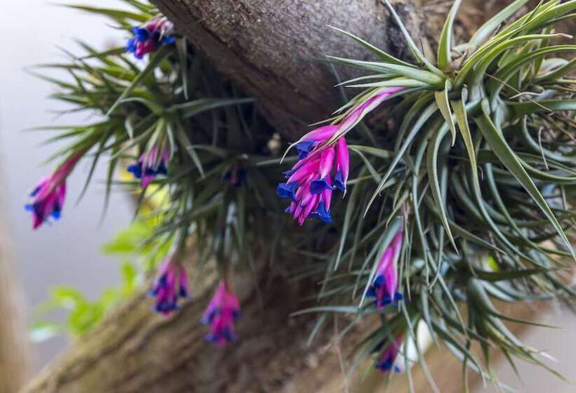 Aamiaismajoitus (B&B) Kingfisher Guesthouse